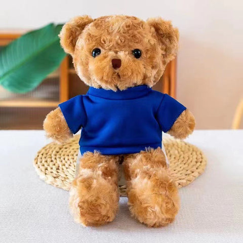 Custom Logo Teddy Bear with Removable Outfit Set