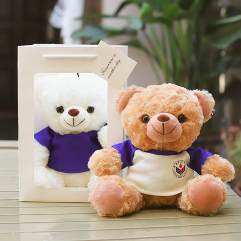 Custom-Logo Hoodie Plush Teddy