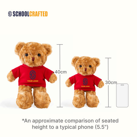 Custom Logo Teddy Bear with Removable Outfit Set