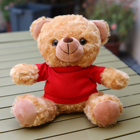 Custom-Logo Hoodie Plush Teddy