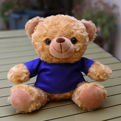 Custom-Logo T-Shirt Plush Teddy