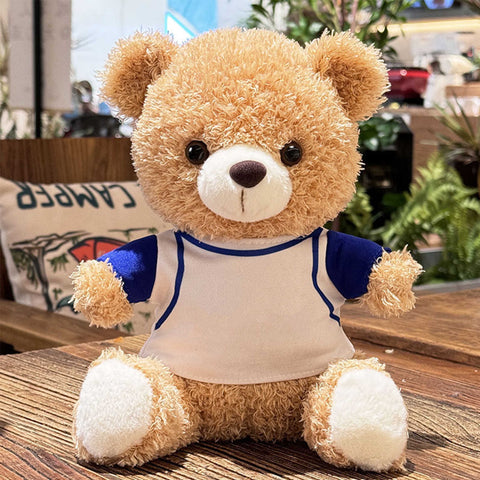 Team Spirit Teddy Bear with Detachable Uniform