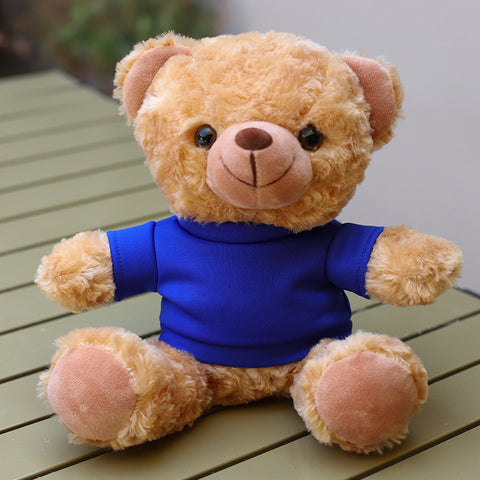 Custom-Logo Hoodie Plush Teddy