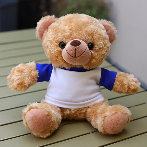 Custom-Logo Hoodie Plush Teddy