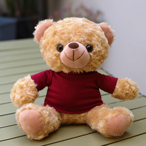 Custom-Logo T-Shirt Plush Teddy