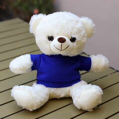 Custom-Logo Hoodie Plush Teddy