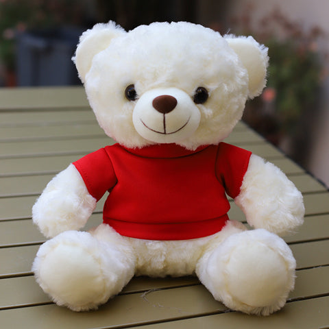 Custom-Logo Hoodie Plush Teddy