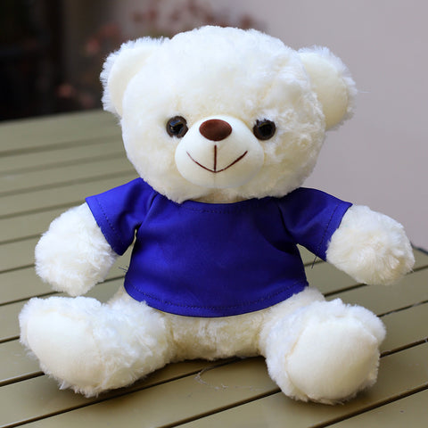 Custom-Logo T-Shirt Plush Teddy